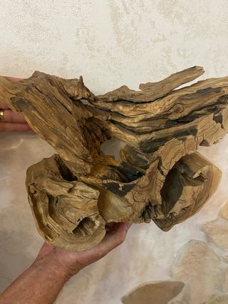 Portavaso in legno d'ulivo