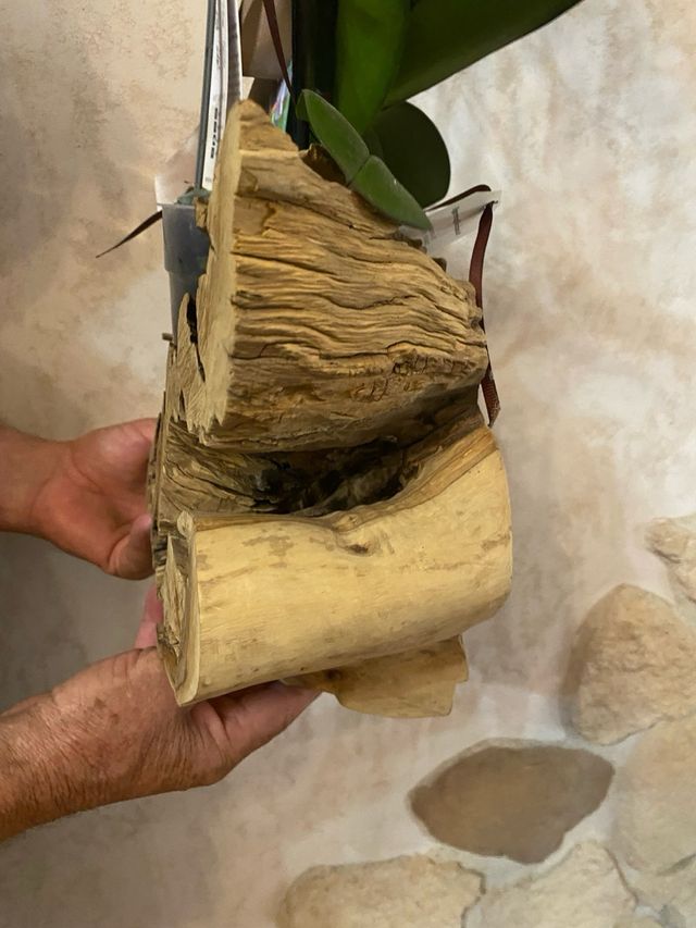 Portavaso in legno d'ulivo