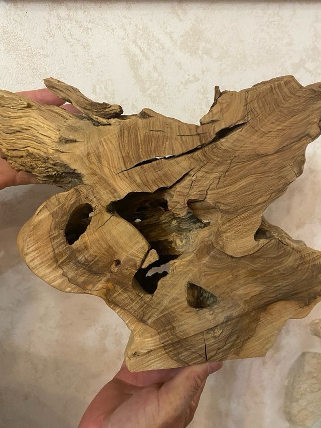 Portavaso in legno d'ulivo