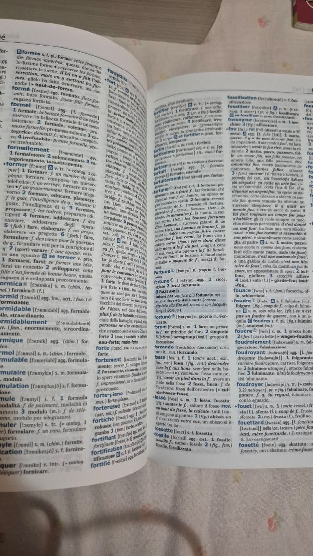 Dizionario francese-italiano e italiano-francese