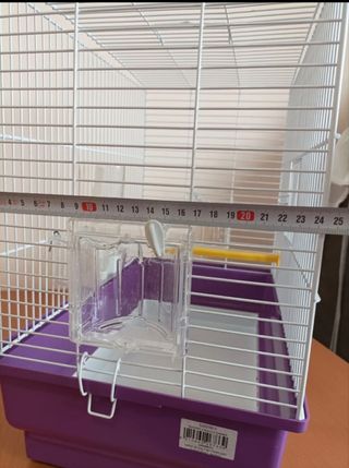 Jaula pájaros: hogar pajaritos