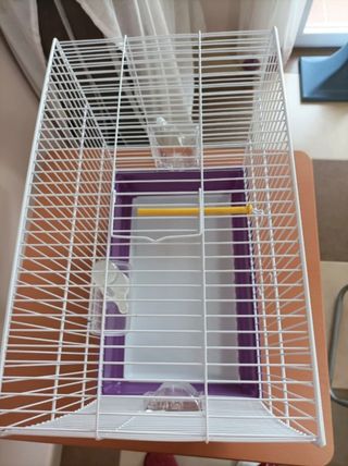 Jaula pájaros: hogar pajaritos