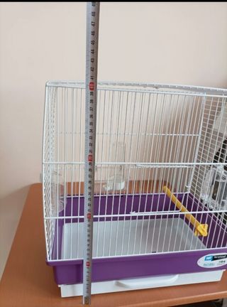 Jaula pájaros: hogar pajaritos