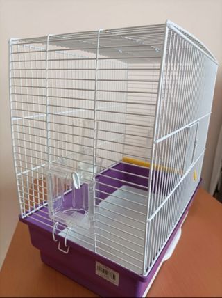 Jaula pájaros: hogar pajaritos