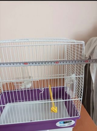 Jaula pájaros: hogar pajaritos