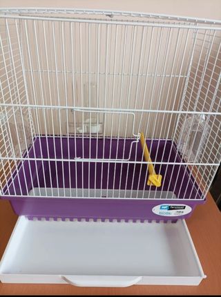 Jaula pájaros: hogar pajaritos