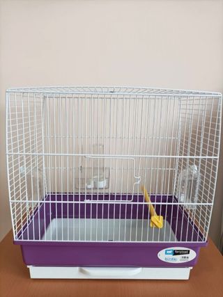 Jaula pájaros: hogar pajaritos