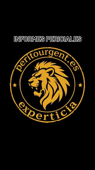 Informe Pericial Madrid