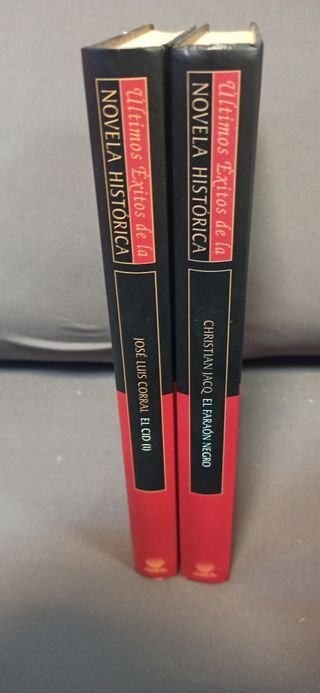 Lote 2 libros novela histórica 