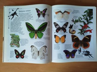 OFERTÓN Lote  de 3 libros por 5 € todos