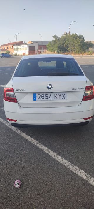 Skoda Octavia 2019