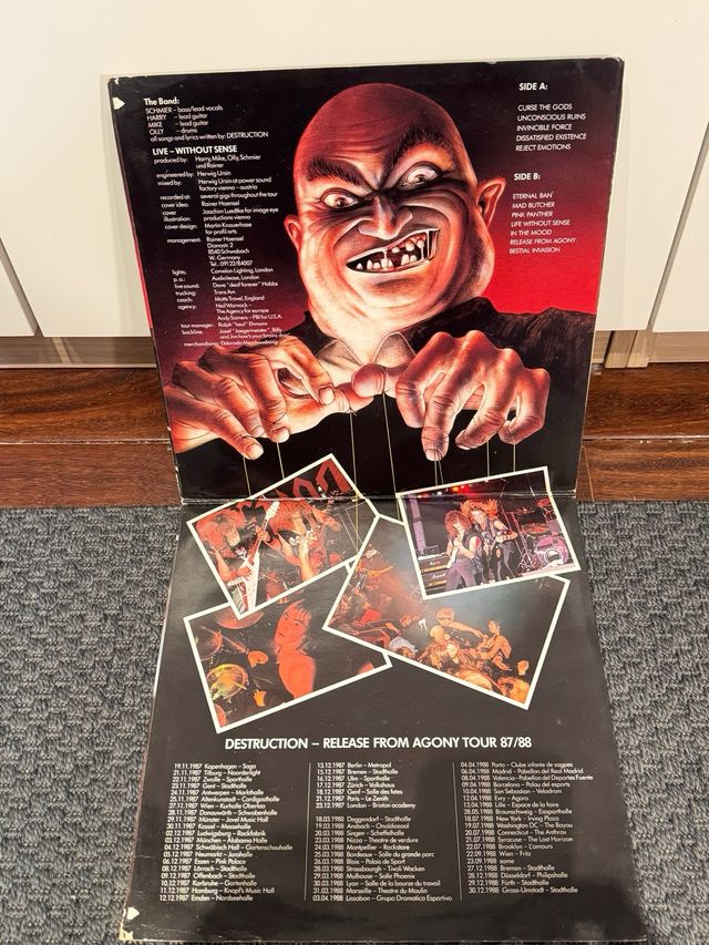 Vinilo Destruction - Without Sense