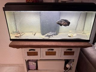 Vendo pecera,acuario de 120 litros