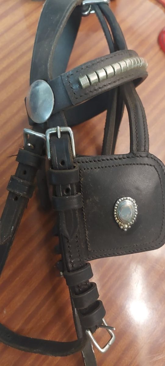 Cabezada Pony Brión enganche 
- Riendas de cuero