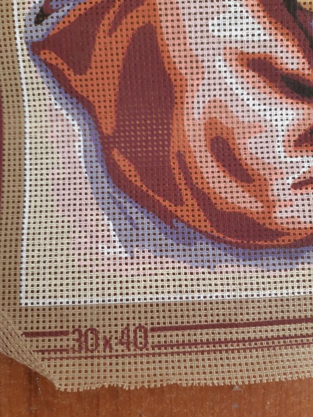 Tapiz para bordar Virgen con Niño 30x40