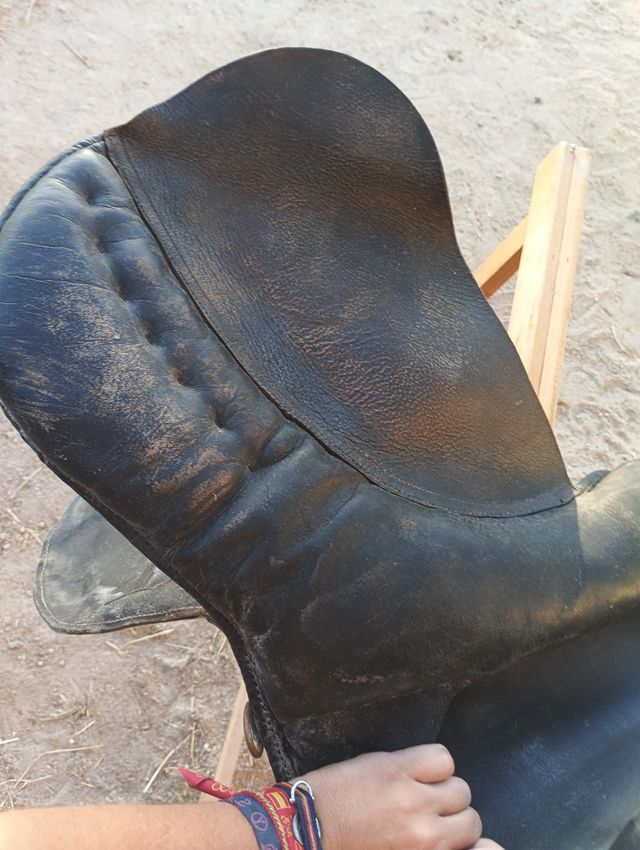 Montura inglesa antigua