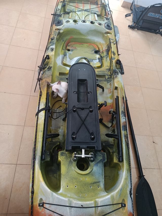 Kayak Pesca Galaxy 4.40m - Motor Eléctrico