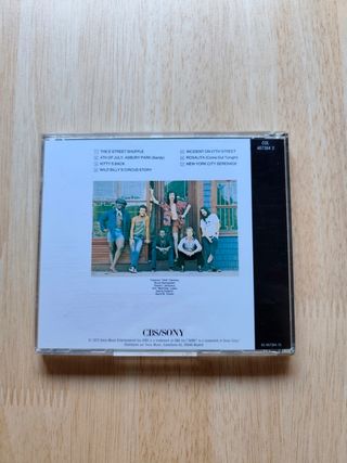 CD Bruce Springsteen - The Wild, The Innocent & Th