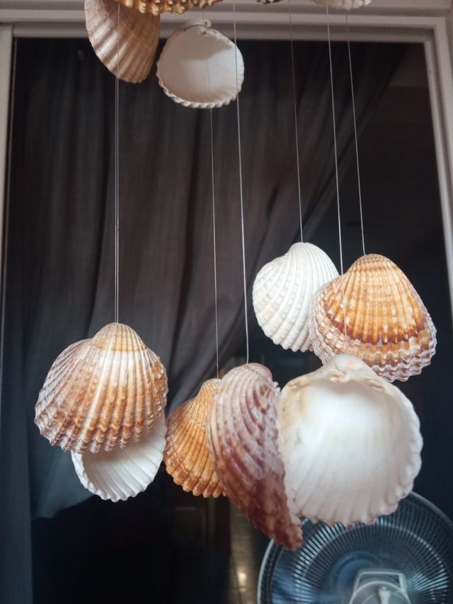 Móvil conchas marinas - Decoración hogar