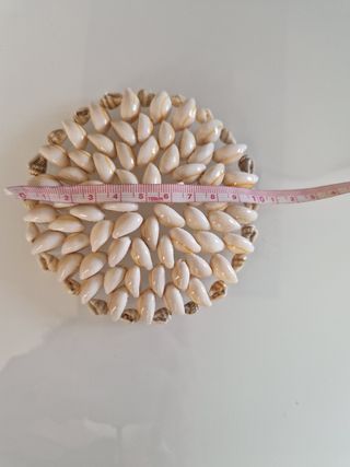 Decoro conchiglie | Centrotavola