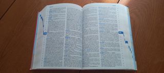 Diccionario español Primaria Nivel Avanzado SM