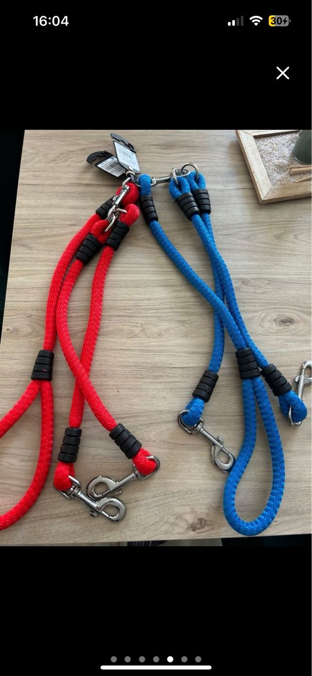 Correas y collares perro
