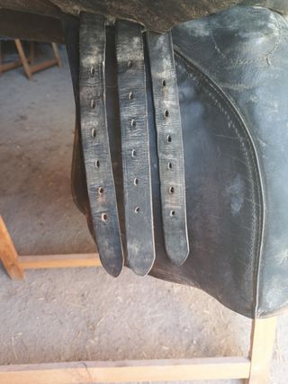 Montura inglesa Marjoman