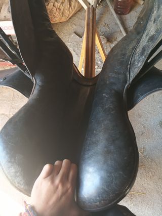 Montura inglesa Marjoman