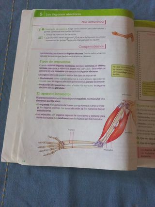 Ciencias de la naturaleza. 6 Primaria. Más Savi...