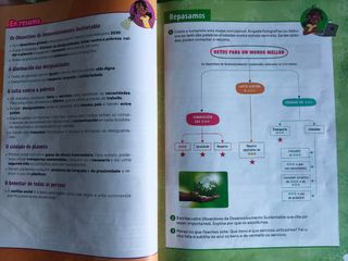 5° de primaria.