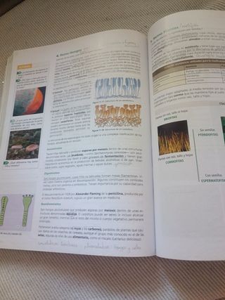 Inicia Biología y Geología 1.º Bachillerato. Li...