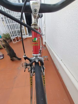 Bicicleta carretera Massi vintage