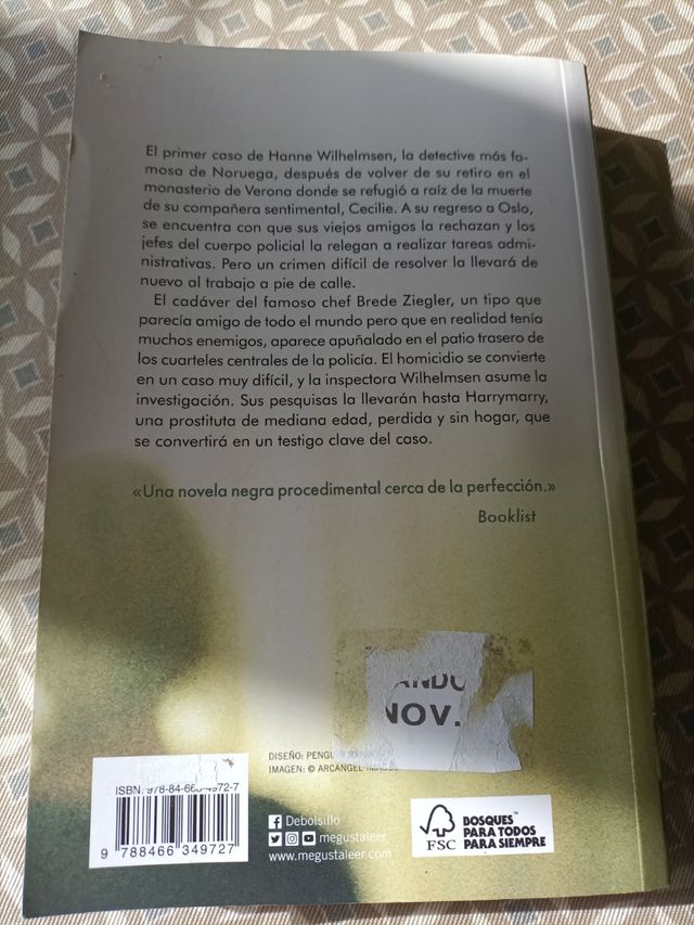 Sin eco (Hanne Wilhelmsen 6)