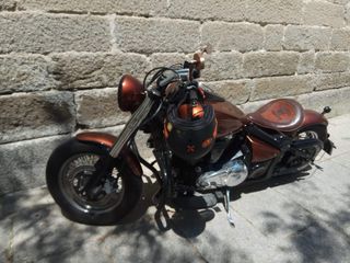 Kawasaki VN900 Custom