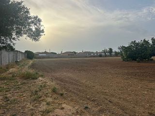 Terreno en venta en La Banda - Campo de Fútbol en Chiclana de la Frontera