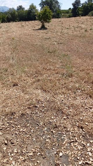 Solar en venta en Jaraíz de la Vera