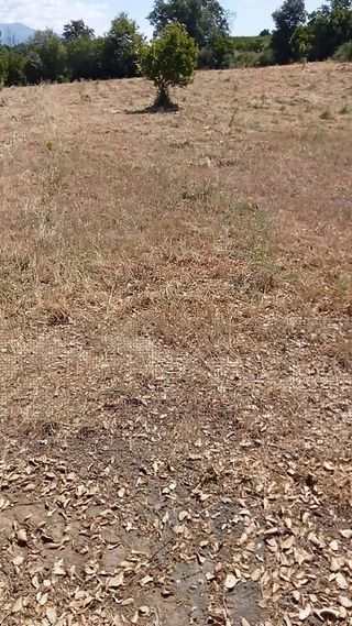 Solar en venta en Jaraíz de la Vera