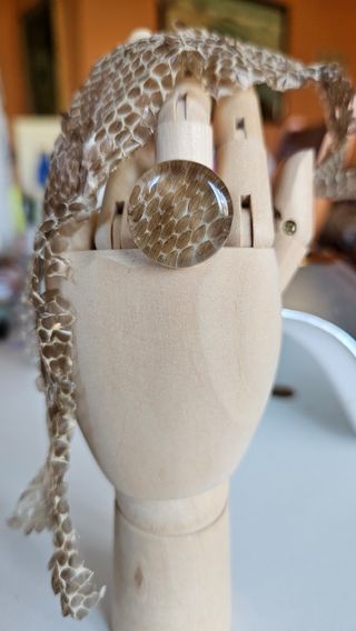 Anillo serpiente | Ajustable