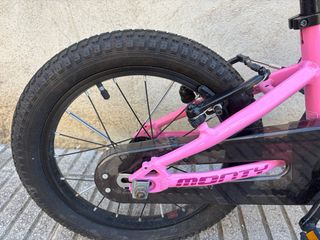 Bicicleta Monty 103