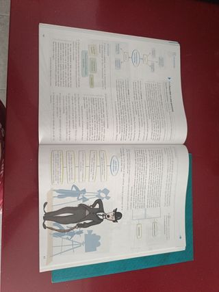 Lengua y Literatura 1.