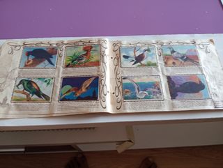 Álbum Zoológico años 40