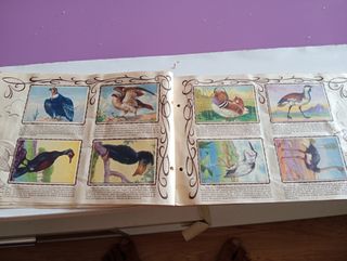 Álbum Zoológico años 40