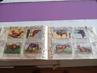 Álbum Zoológico años 40