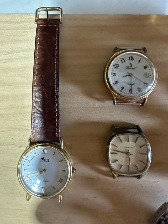 12 Relojes: Automáticos y Cuarzo