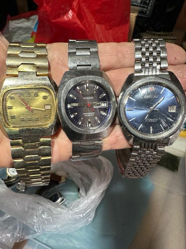 12 Relojes: Automáticos y Cuarzo