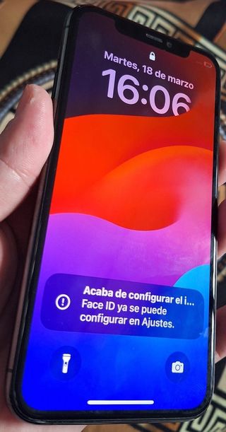 IPhone 11 Pro Gris Espacial Batería 100%
