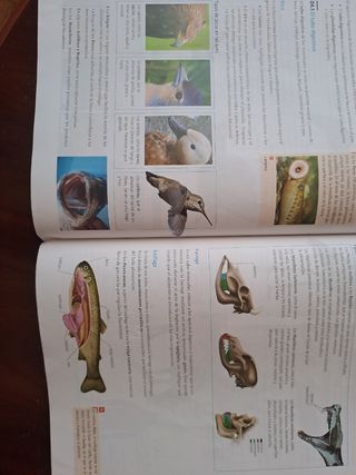 BIOLOGIA Y GEOLOGIA 1º BACHILLERATO