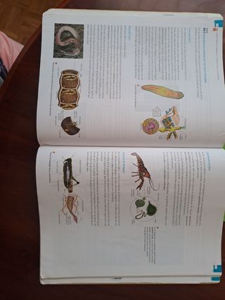BIOLOGIA Y GEOLOGIA 1º BACHILLERATO