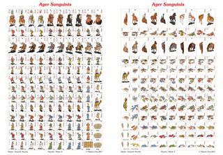Wargame, Ager Sanguinis