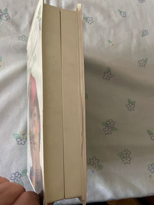 PETER PAN (INACTIF- FOLIO JUNIOR 1)